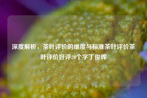 深度解析，茶叶评价的维度与标准茶叶评价茶叶评价好评20个字丁俊晖-第1张图片-茶世界