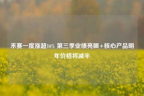 禾赛一度涨超16% 第三季业绩亮眼+核心产品明年价格将减半-第1张图片-茶世界