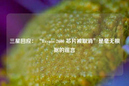 三星回应：“Exynos 2600 芯片被取消”是毫无根据的谣言-第1张图片-茶世界