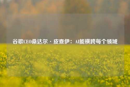 谷歌CEO桑达尔·皮查伊：AI能横跨每个领域-第1张图片-茶世界