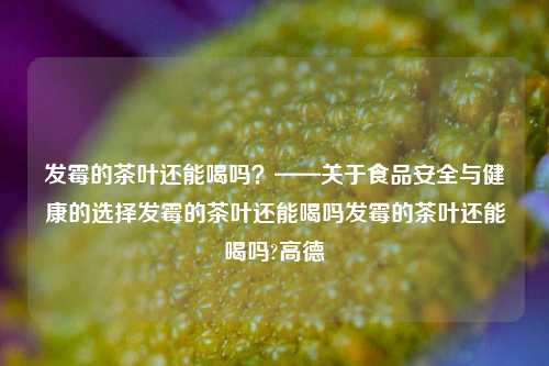 发霉的茶叶还能喝吗？——关于食品安全与健康的选择发霉的茶叶还能喝吗发霉的茶叶还能喝吗?高德-第1张图片-茶世界