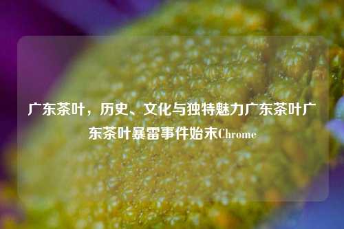 广东茶叶，历史、文化与独特魅力广东茶叶广东茶叶暴雷事件始末Chrome-第1张图片-茶世界