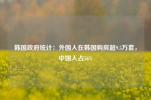 韩国政府统计：外国人在韩国购房超9.5万套，中国人占56%-第1张图片-茶世界