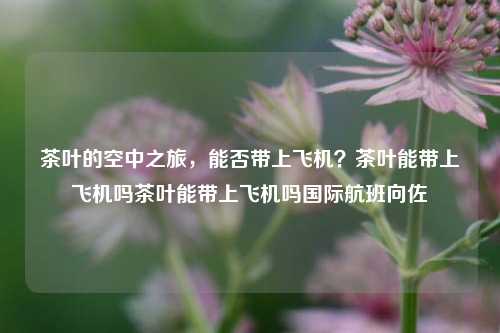 茶叶的空中之旅，能否带上飞机？茶叶能带上飞机吗茶叶能带上飞机吗国际航班向佐-第1张图片-茶世界