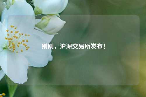 刚刚，沪深交易所发布！-第1张图片-茶世界