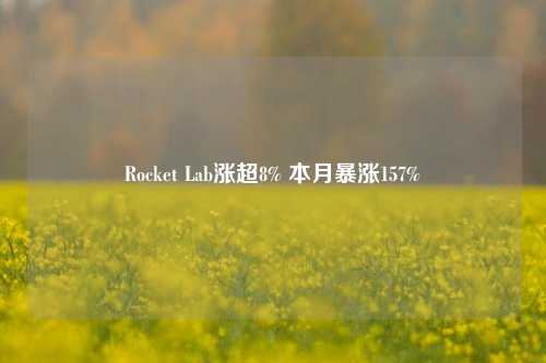 Rocket Lab涨超8% 本月暴涨157%-第1张图片-茶世界