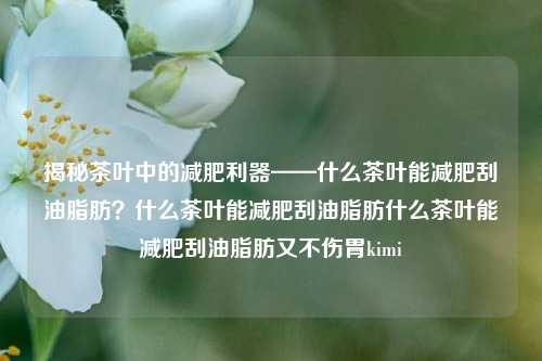 揭秘茶叶中的减肥利器——什么茶叶能减肥刮油脂肪？什么茶叶能减肥刮油脂肪什么茶叶能减肥刮油脂肪又不伤胃kimi-第1张图片-茶世界