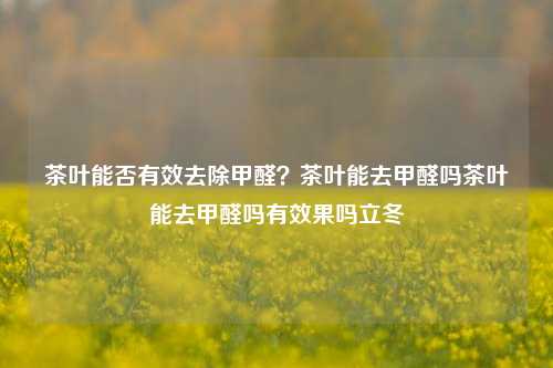 茶叶能否有效去除甲醛？茶叶能去甲醛吗茶叶能去甲醛吗有效果吗立冬-第1张图片-茶世界